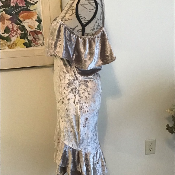 ๐Price Firm Final- Velvet Plus Size Mermaid Dress - Picture 3 of 6